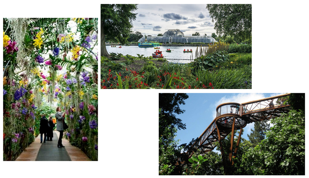 Top 10 London Gardens-Cornelia James