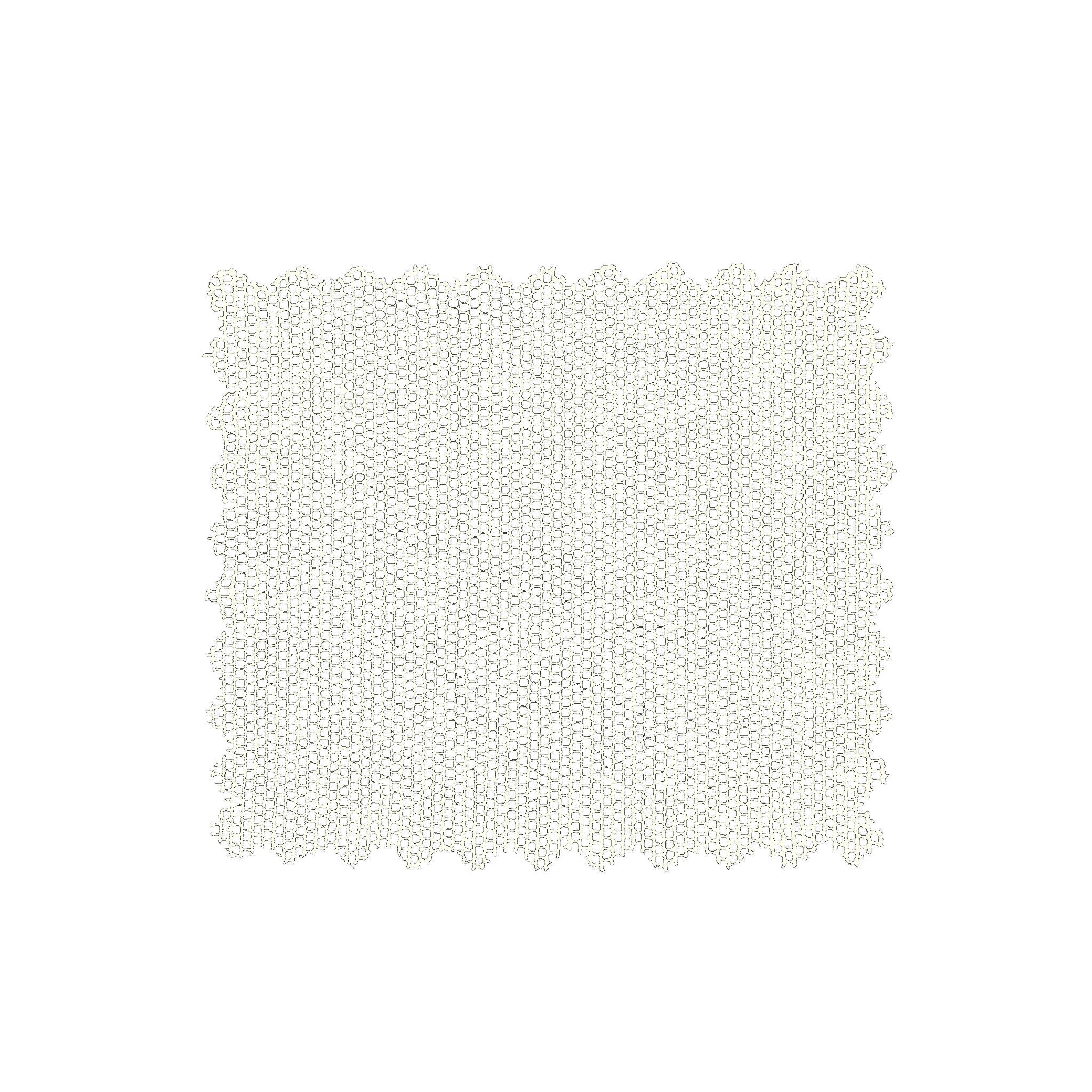 Échantillon de tulle